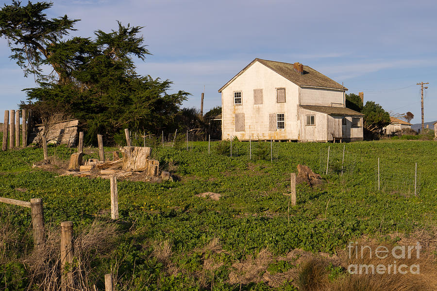 Historic D Ranch In Point Reyes California DSC2357 Photograph by Wingsdomain Art and Photography