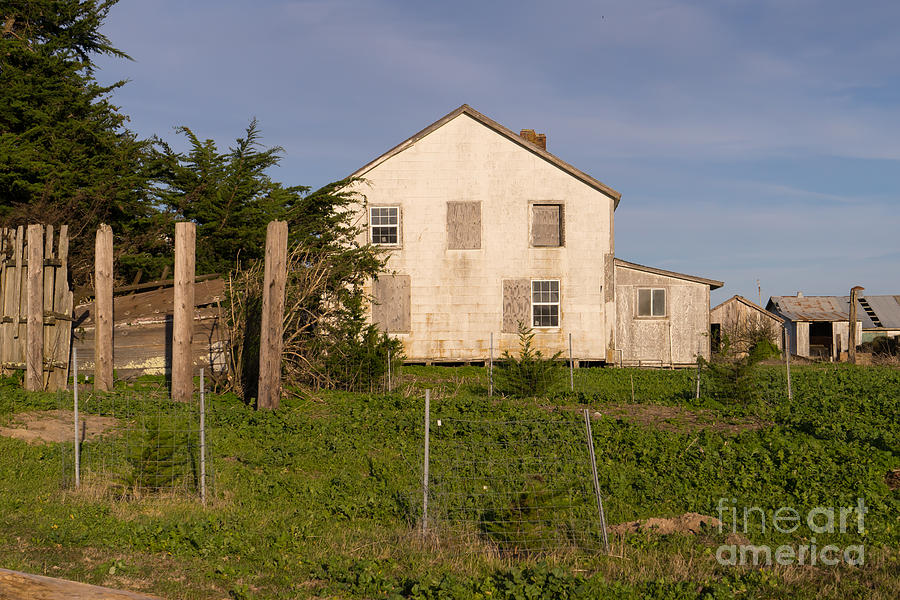 Historic D Ranch In Point Reyes California DSC2381 Photograph by Wingsdomain Art and Photography