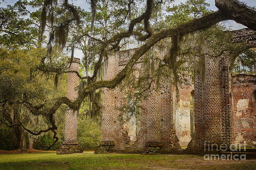 Tree Photograph - Historic Sheldon Church 3 by Carrie Cranwill