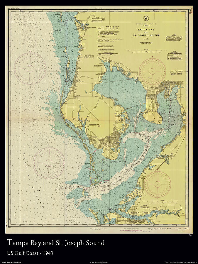 Nautical Chart Digital Art - Historic Tampa Bay by Adelaide Images