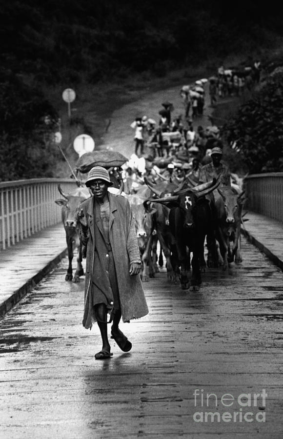 History 20st century person black-and-white art 508 Photograph by Boon Mee