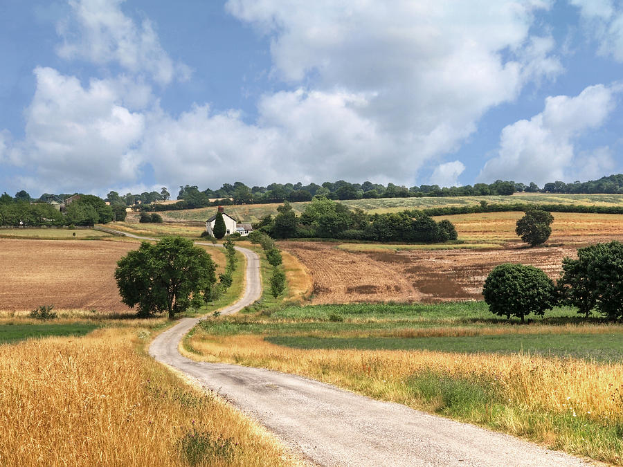 Summer Photograph - The Long Winding Road  by Gill Billington