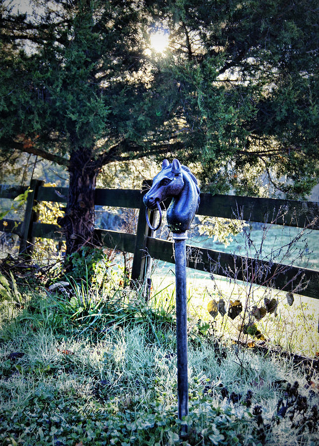 Hitching Post Photograph by Cricket Hackmann