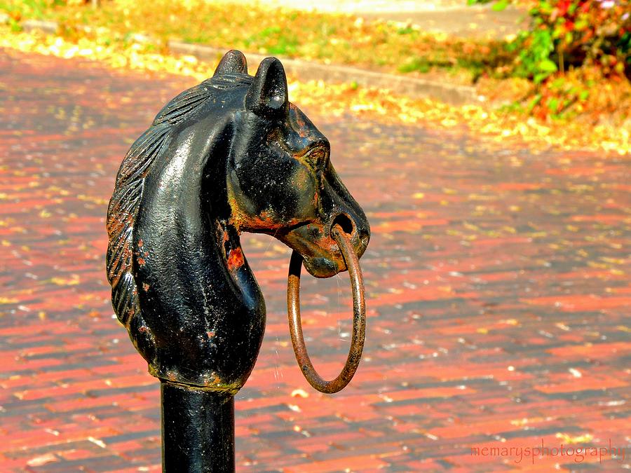 Nature Photograph - Hitching Post by Mary Williamson
