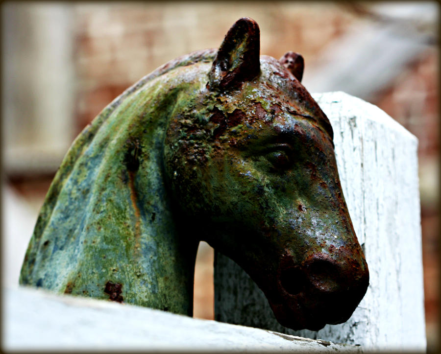 Horse Photograph - Hitching Post by Susie Weaver