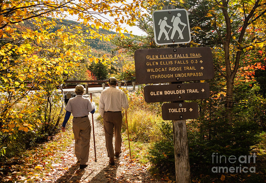Hitting the Trail Pinkham Notch New Hampshire Photograph by Dawna Moore Photography