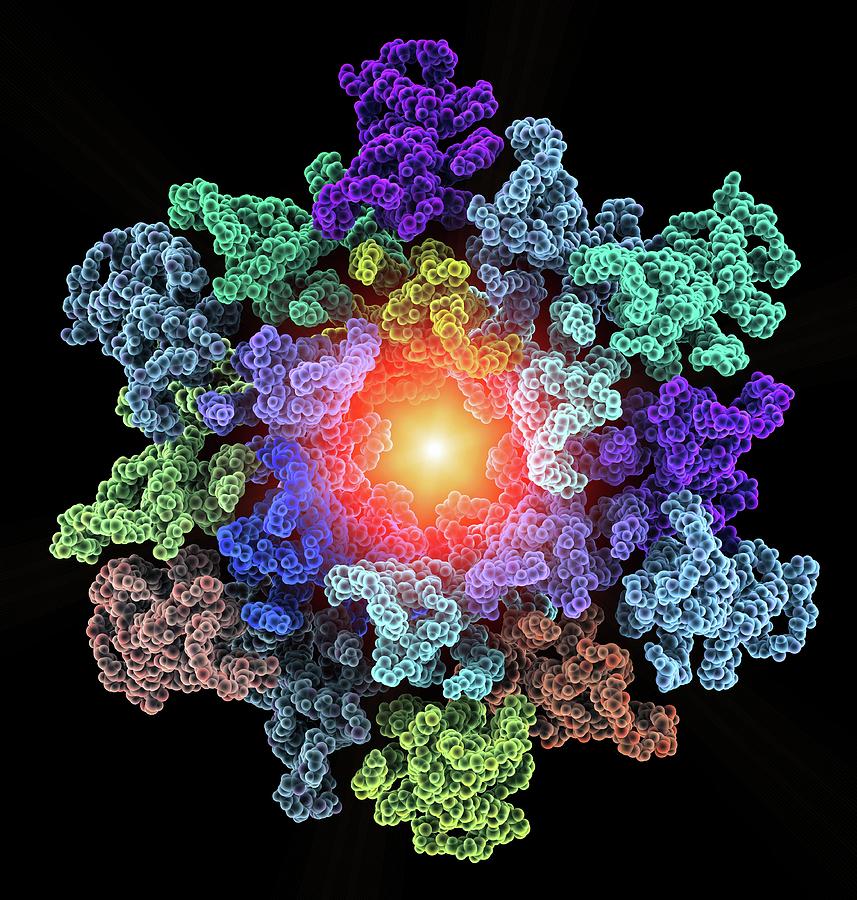 Hiv-1 Capsid In Intact Virus Particle Photograph by Alfred Pasieka
