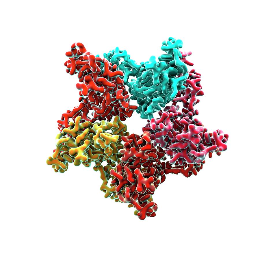 Virus Photograph - Hiv Capsid Proteins by Animate4.com/science Photo Libary