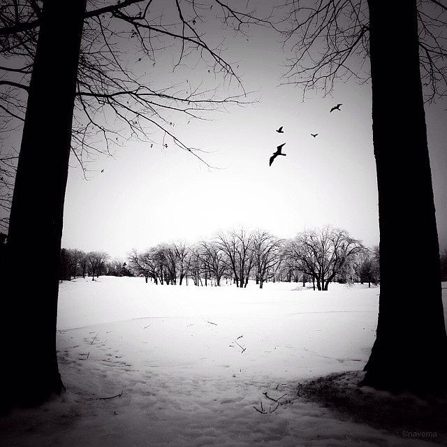 Black And White Photograph - Hiver
(#instagoodnextvip For by Natasha Marco Black And White Photograph - Hiver
(#instagoodnextvip For by Natasha Marco