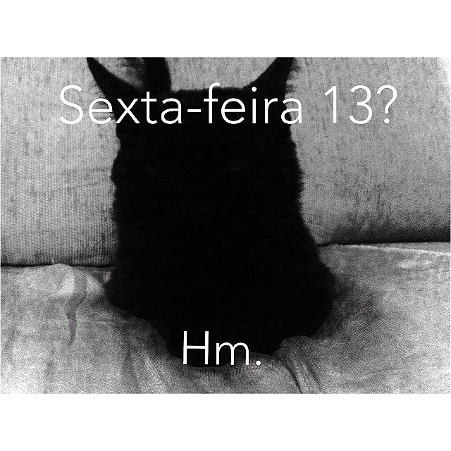 Cat Photograph - Hm. 😼 #fridaythe13th #sextafeira13 by Ariel Marques