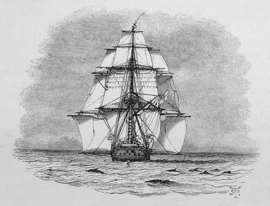 Hms Beagle Among Porpoises Charles Drawing by Mary Evans Picture Library