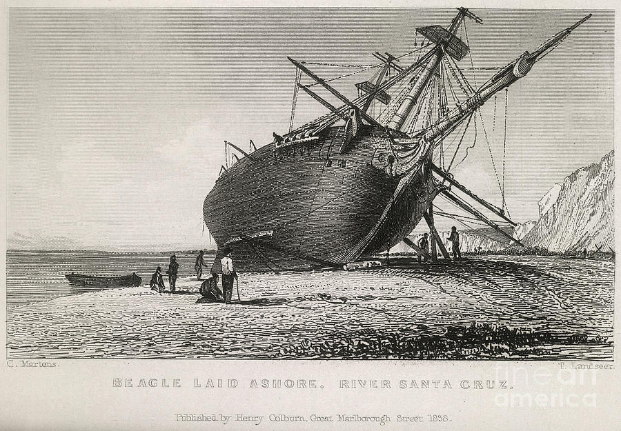 Hms Beagle Laid Ashore, River Santa Photograph by British Library