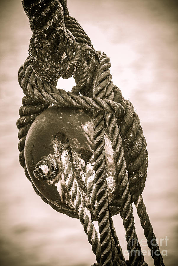 HMS Bounty Rope Hug Photograph by Patricia Trudell - Fine Art America