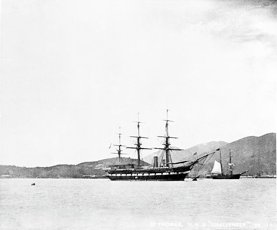 Hms Challenger At St Thomas Photograph by Natural History Museum ...