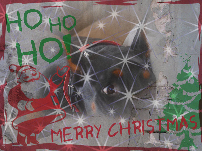 Christmas Photograph - Ho Ho Ho by Sue Rosen