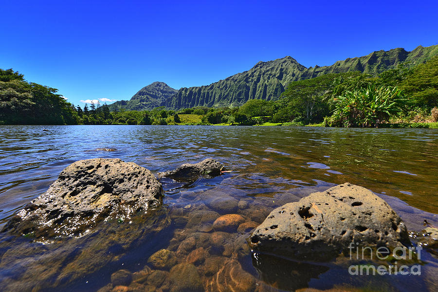 Ho Omaluhia Botanical Garden Waokele Pond Rocks Wide Photograph by Aloha Art