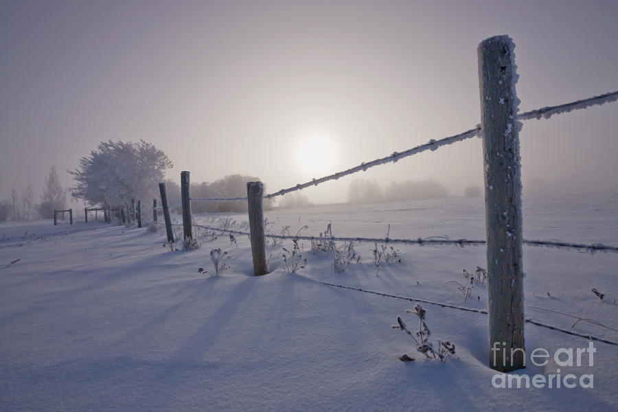 Winter Photograph - Hoar Frost and Barbed Wire Fence by Dan Jurak