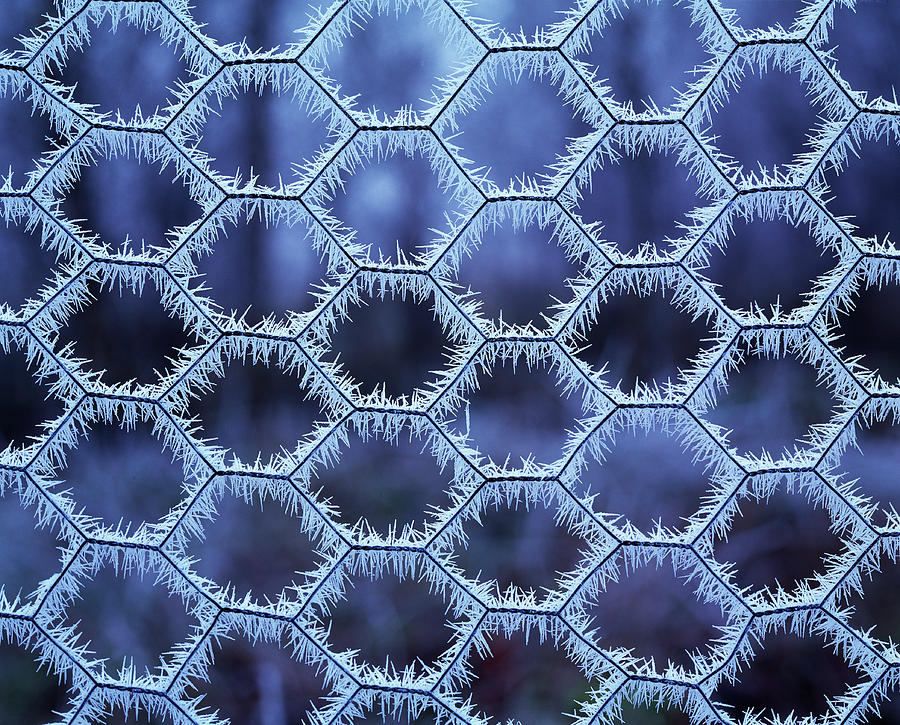 Winter Photograph - Hoar Frost On A Wire Fence by Simon Fraser/science Photo Library