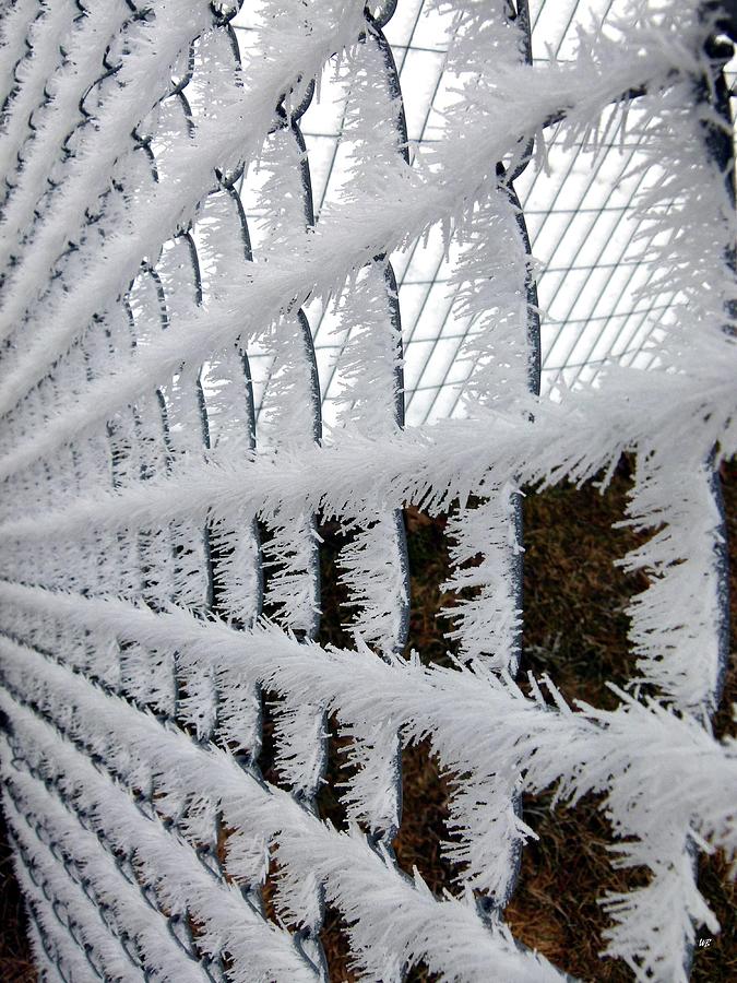 Hoarfrost 2 Photograph by Will Borden