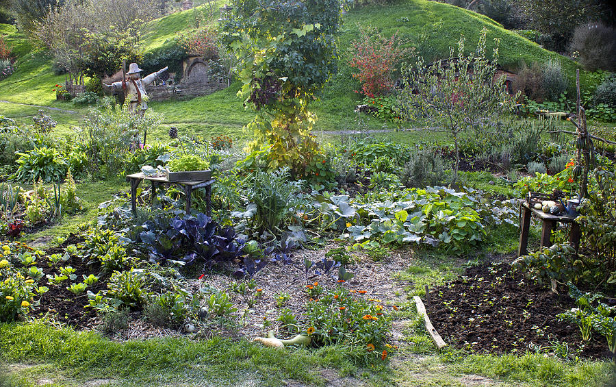 Hobbit Garden in Bag End Photograph by Venetia Featherstone-Witty