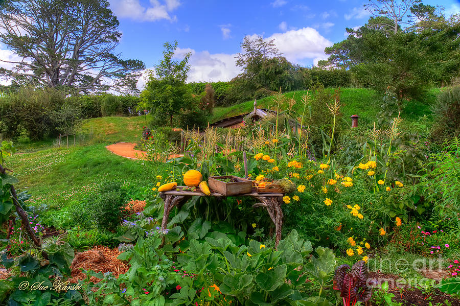 Hobbit Garden View Photograph by Sue Karski