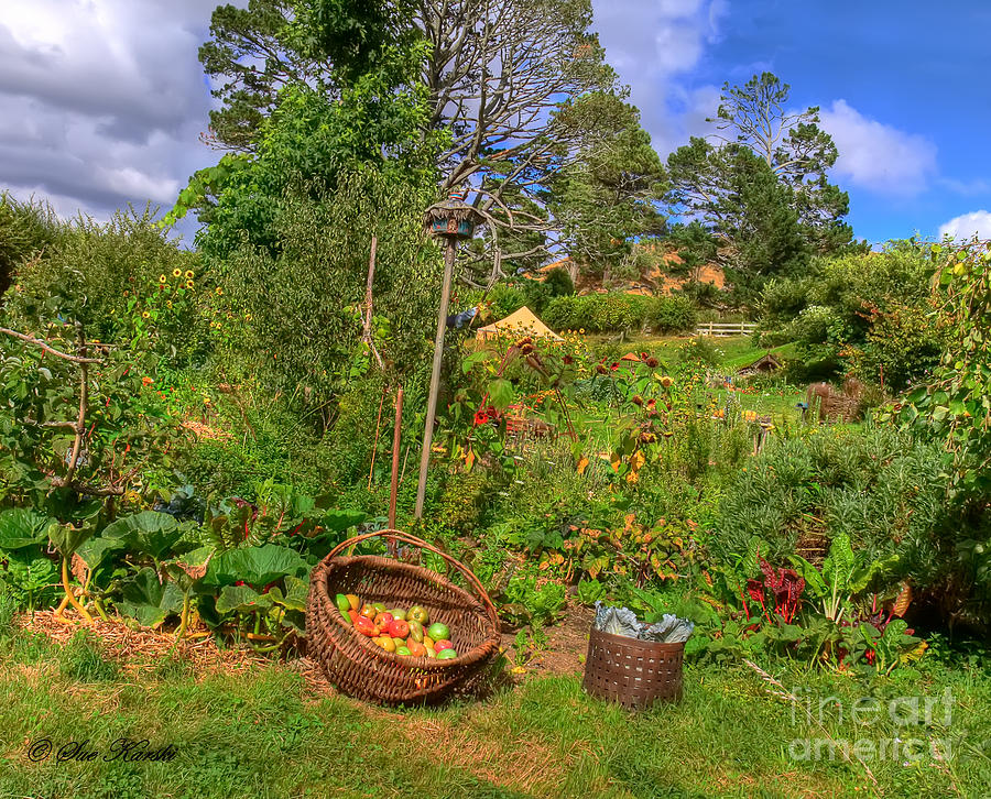 Hobbiton Garden Photograph by Sue Karski
