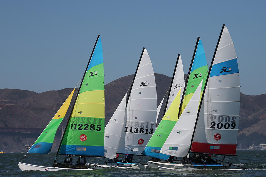 Hobie Cat Regatta Photograph by Steven Lapkin - Fine Art America