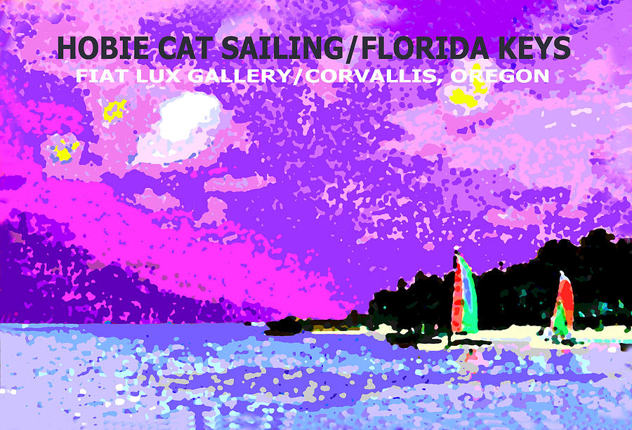 Hobie Cats Florida Keys Digital Art by Michael Moore