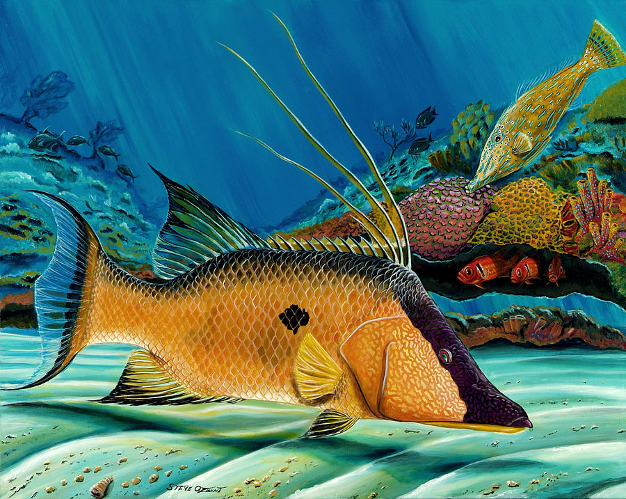 Hog and Filefish Painting by Steve Ozment