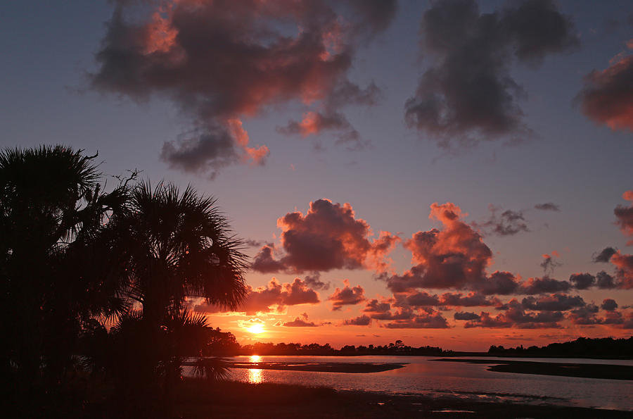 Hog Island Sunset Photograph by Jean Clark