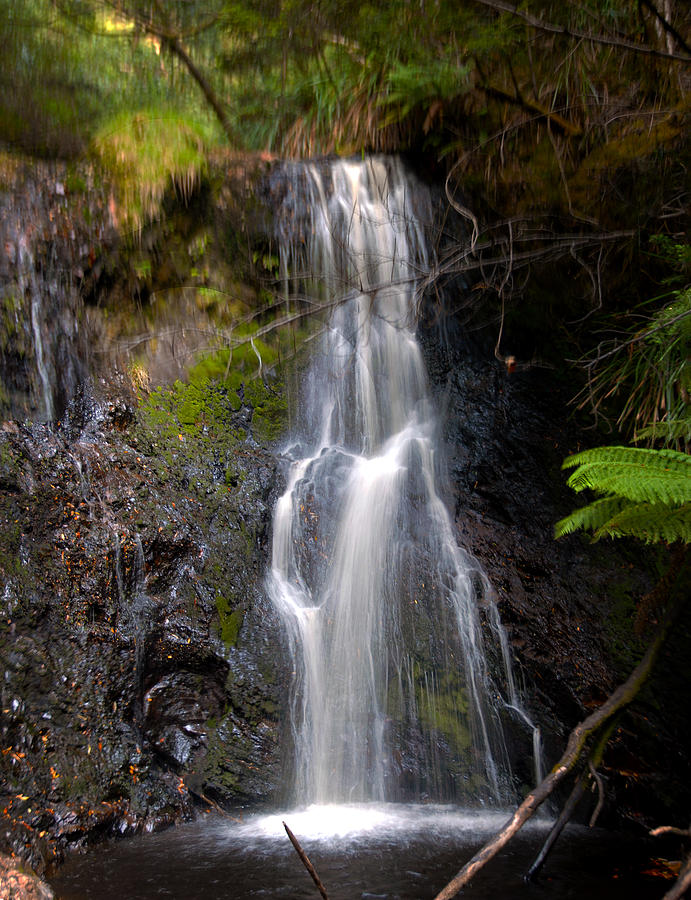 Waterfall Photograph - Hogarth Falls Tasmania by Glen Johnson