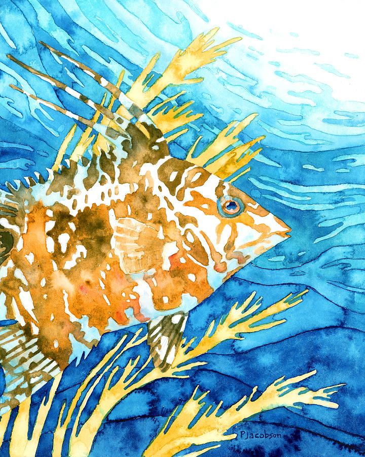 Hogfish Portrait Painting by Pauline Walsh Jacobson