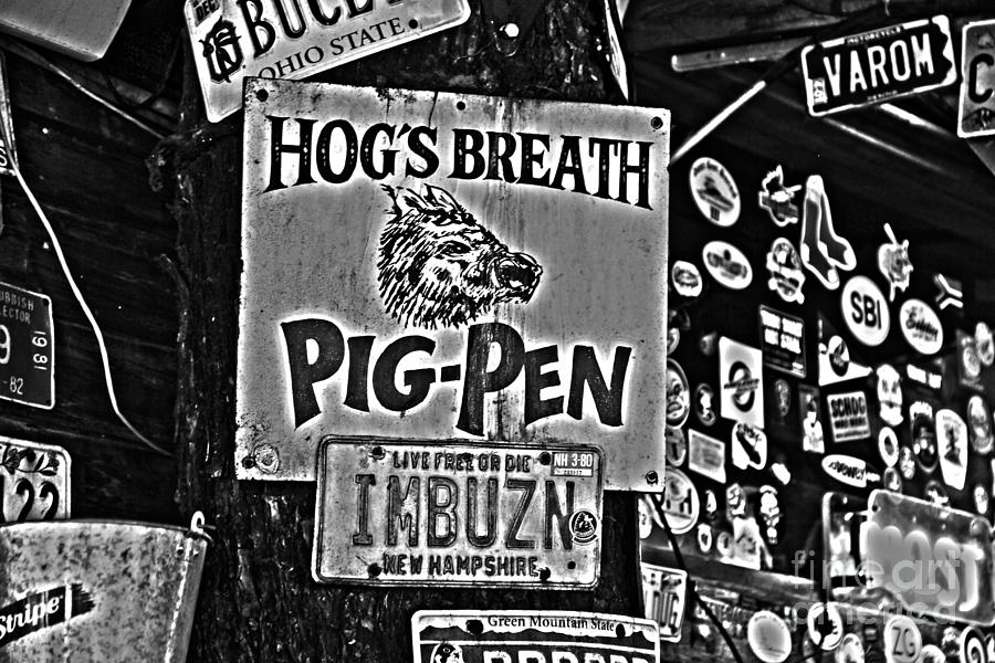 Hog's Breath Pig Pen Photograph by Rick Bravo | Pixels