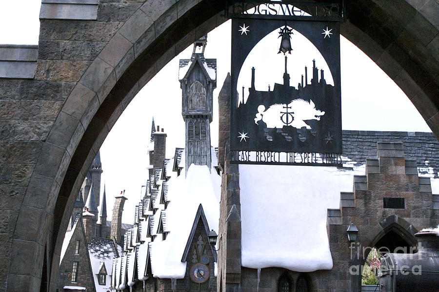 Hogsmeade Sign Photograph by Shelley Overton