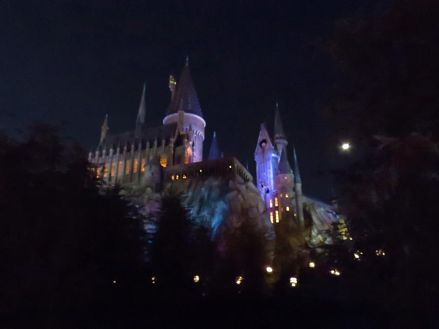 Hogwarts Castle in Lights Photograph by Kathy Long
