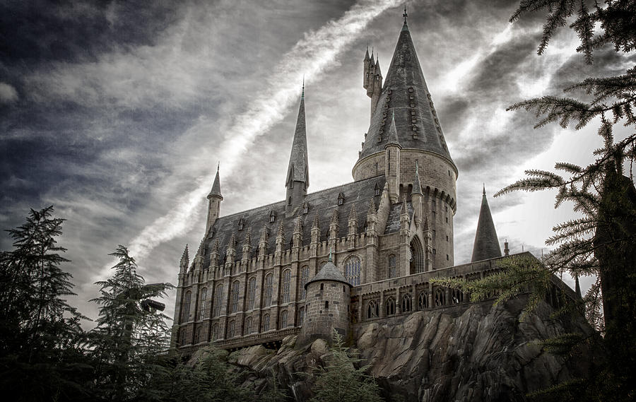 Hogwarts Castle Photograph by Linda Tiepelman