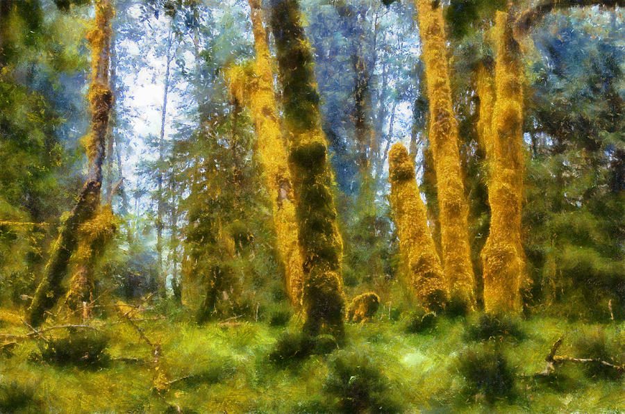 Hoh Rain Forest Digital Art by Kaylee Mason