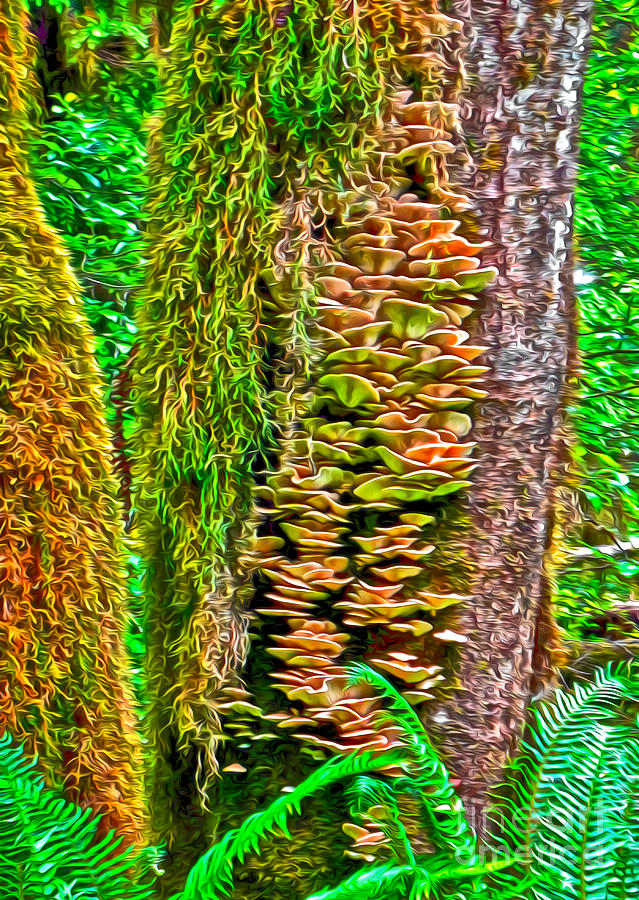 Olympic National Park Painting - Hoh Rainforest - Moss and Mushrooms by Gregory Dyer