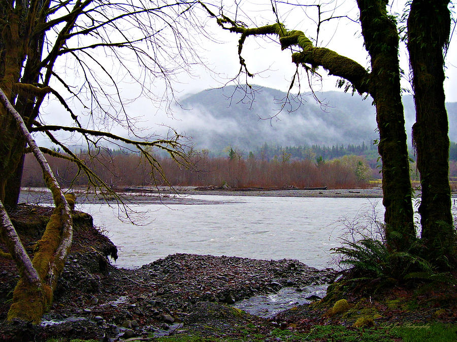 Nature Photograph - Hoh River by Jeanette C Landstrom