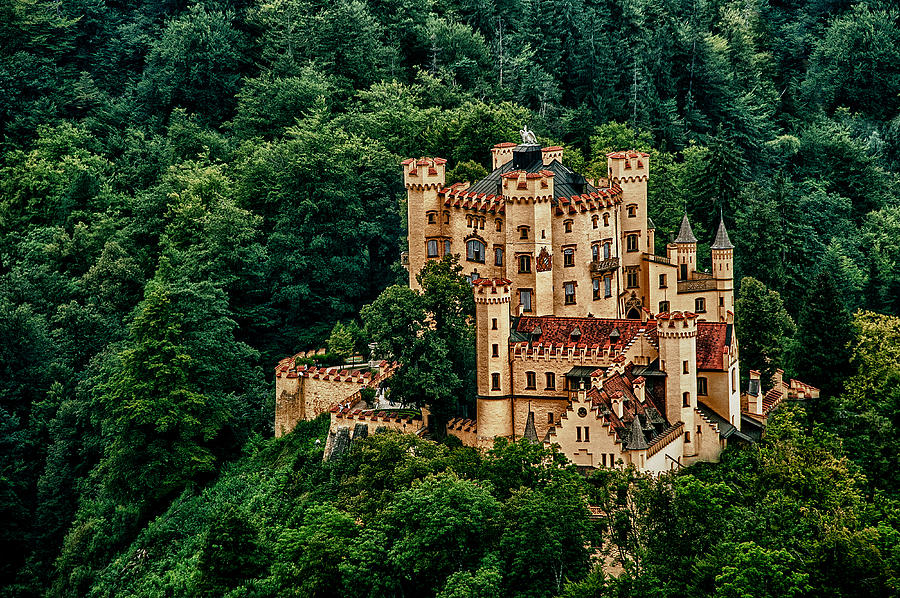 Hohenschwangau Castle Photograph by Patrick Boening