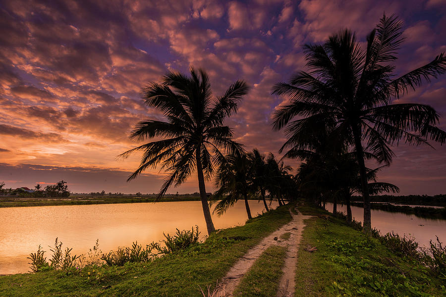 Hoi-an Vietnam Sunset Photograph by Keith Mcinnes Photography