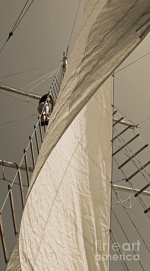 Hoisting The Mainsail In Sepia Photograph by Jani Freimann