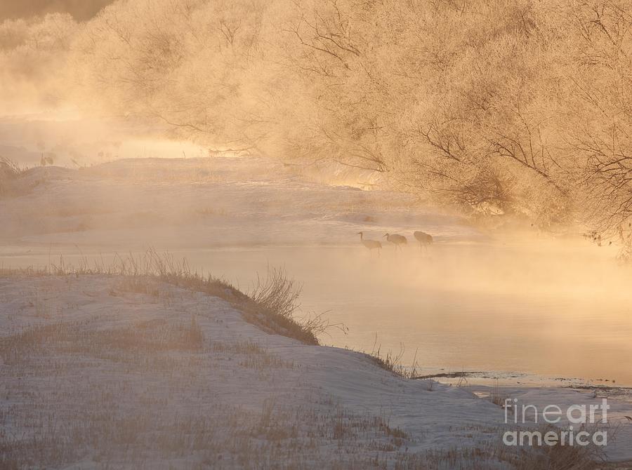 Hokkaido Sunrise 2 Photograph by Natural Focal Point Photography - Fine ...