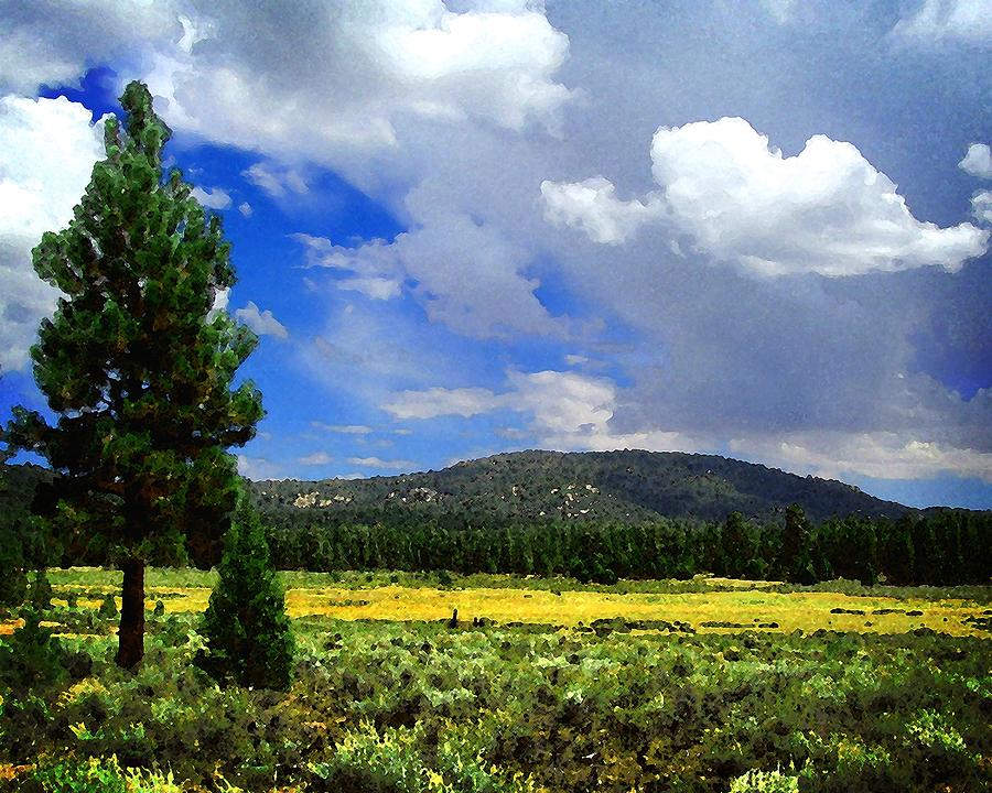 Holcomb Valley Photograph by Timothy Bulone