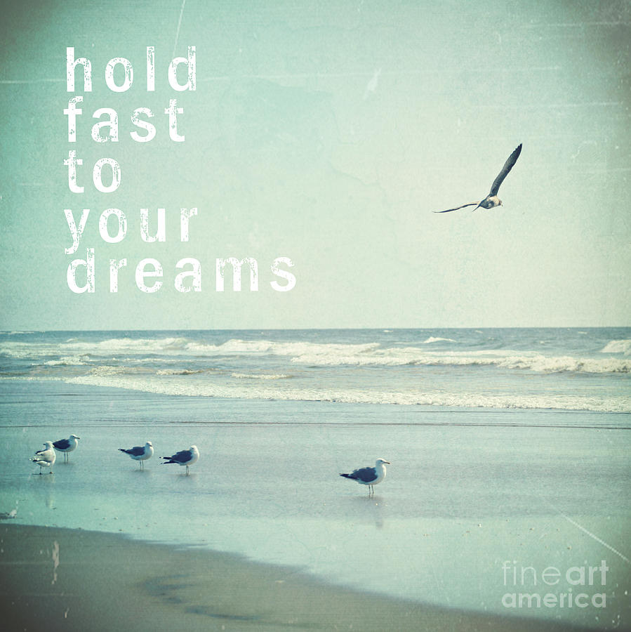 Hold Fast to your Dreams Photograph by Sylvia Cook