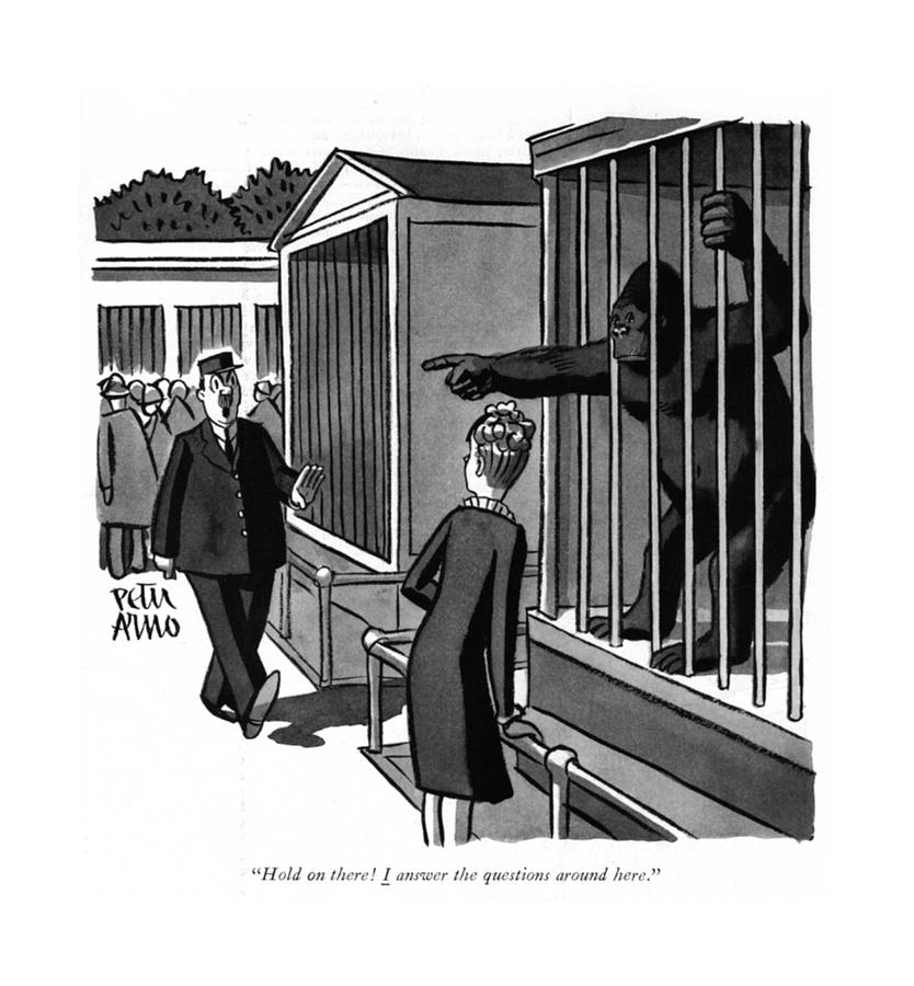 Hold On There! I Answer The Questions Around Here Drawing by Peter Arno