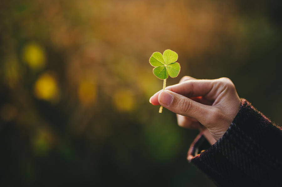 Holding a four-leaf clover Photograph by Tomaz Sedonja