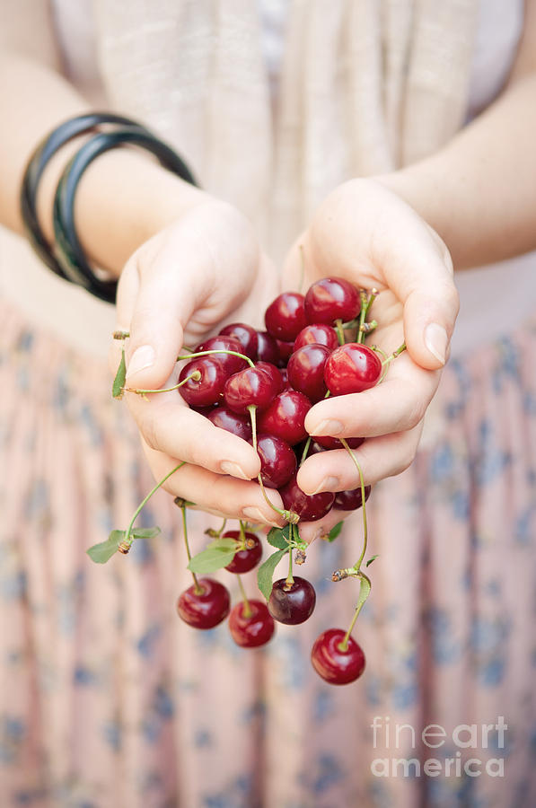 Fruit Photograph - Holding cherries  by Viktor Pravdica