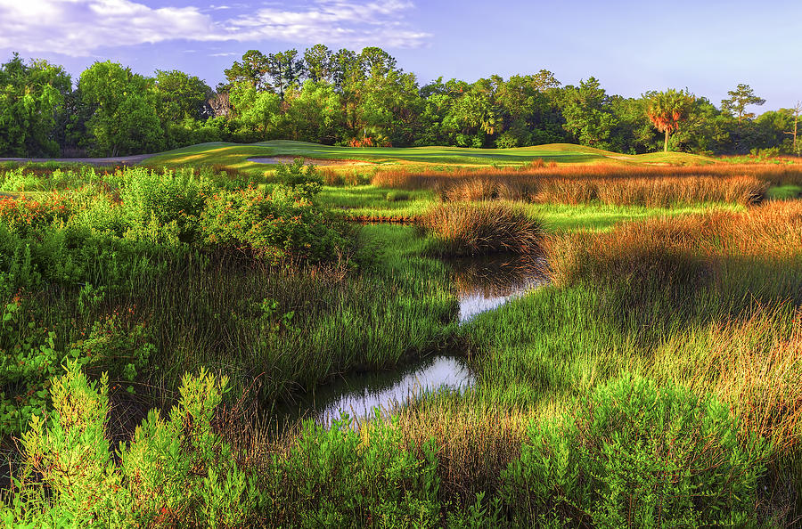 Golf Photograph - Hole 2 - Charleston National by Douglas Berry
