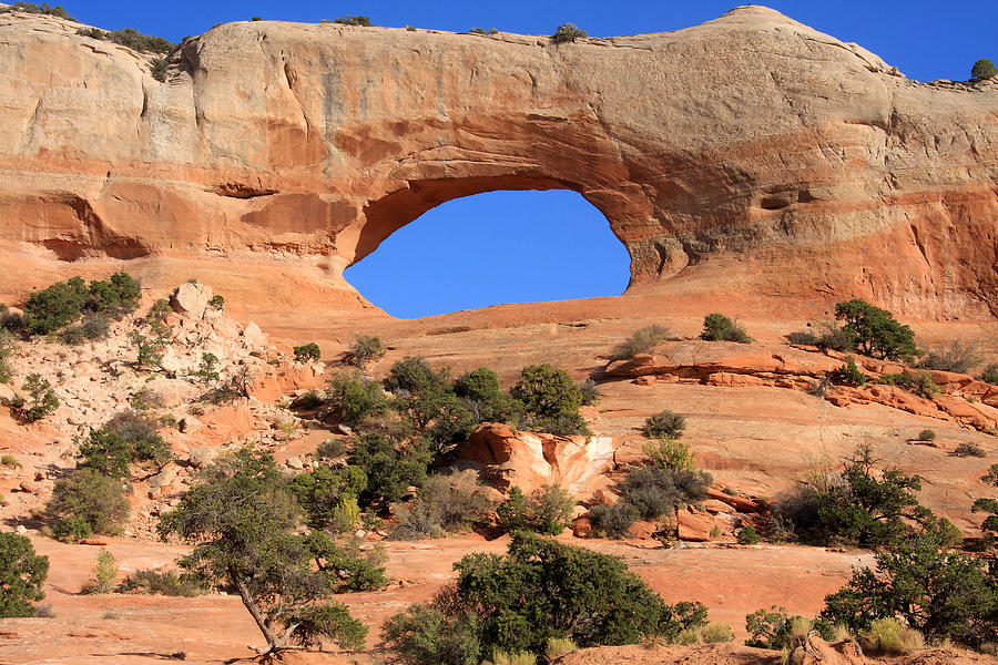 Wilsons Arch, Utah Photograph by Aidan Moran